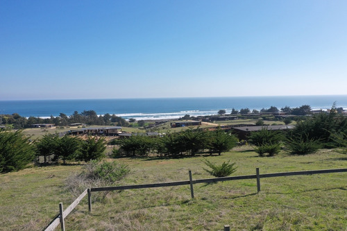 Vista Horizonte Punta De Lobos