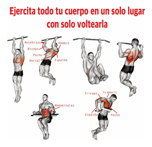 Maxi Fit N-r Barra Multifuncional Para Dominadas Abs