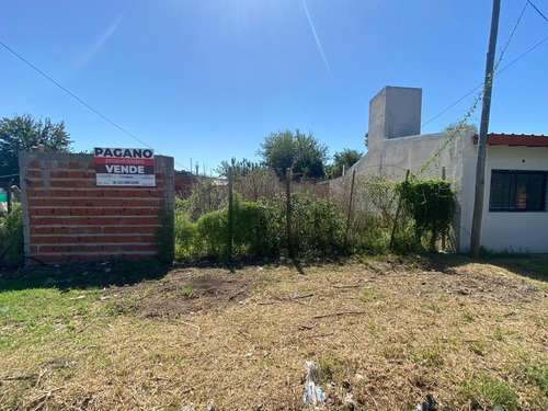 Terreno En Venta San Carlos