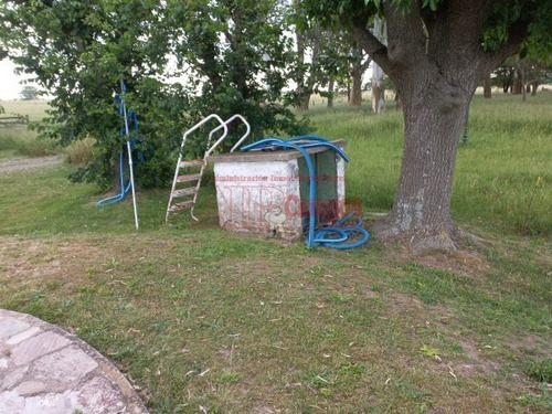 Imagen 4 de 30 de Venta De Campo De 21 Has Entre Jeppener Y Ranchos