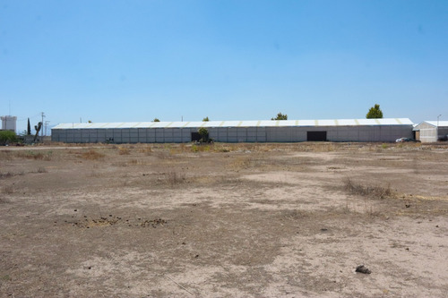 Bodega En Renta Cerca De Platah Carretera México Pachuca
