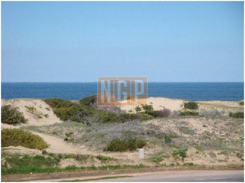 Hermoso Depto De Lujo En La Brava Con Pileta Y Parrillero Propio -ref:9179