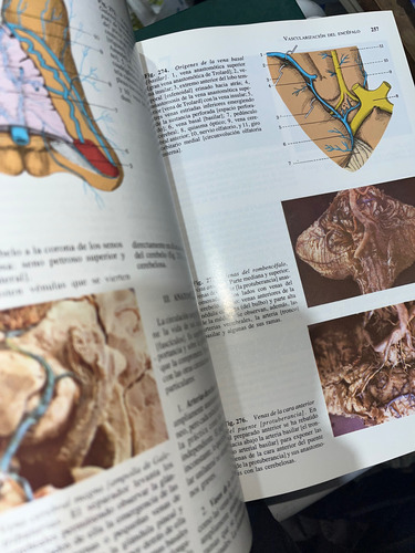 Anatomía Humana I Y Ii (Usado)