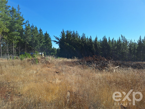 Sitio En Venta En Pichilemu.