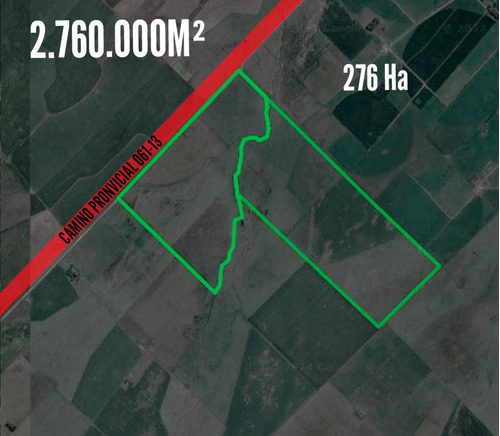 Campo En Venta - 276 Ha - Lobería