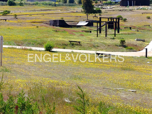 Excelente Terreno En Punta De Lobos