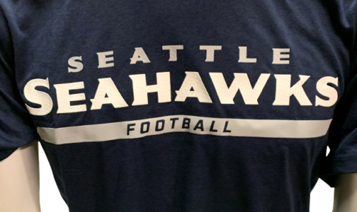 Nike Dri Fit Men's Seattle Seahawks Football Navy Short Eep