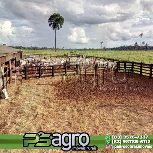 Imagem 2 de 16 de Fazenda À Venda, 34000000 M² Por R$ 22.000.000- Alta Floresta/mt - Fa0247