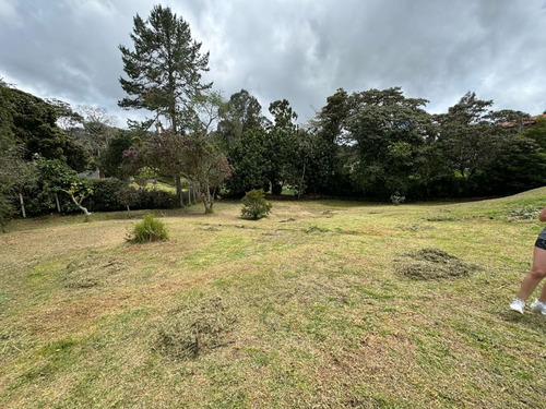 Venta Lote En El Alto De Las Palmas Oportuniad