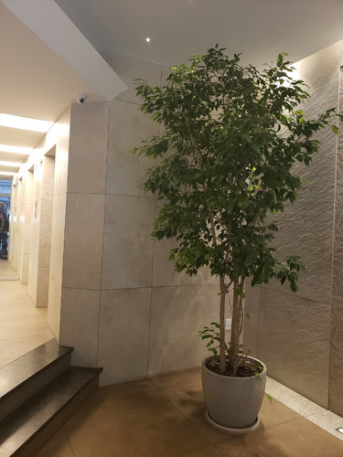 Imagen 4 de 13 de Apartamento Frente,luminoso,piso Alto,todos Los Servicios