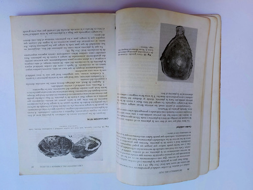 Libro Enfermeria Maternoinfantil Bleier 167a2 (Usado)