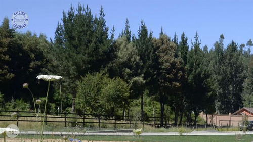 Sitio En Venta En Nonguén, Concepción