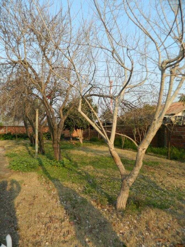 Imagen 10 de 16 de Gran Terreno En Arriendo
