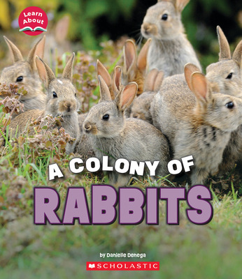 Libro A Colony Of Rabbits (learn About: Animals) - Denega...