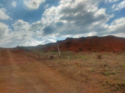 Imagem 12 de 13 de 1. 000m² Saindo A Vista R$120mil Já Podendo Construir, Frent