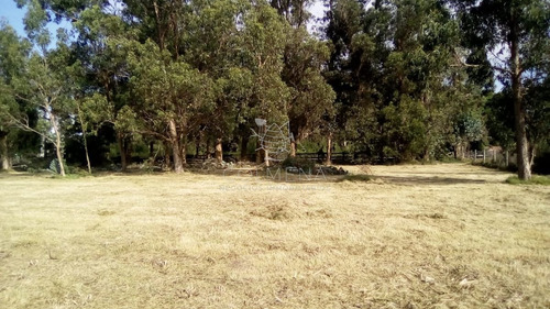 Imagen 4 de 18 de Terrenos Grup 3 Miramar Acres-punta Del Este-la Barra - La Barra Miramar Acres