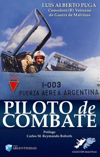 Piloto De Combate