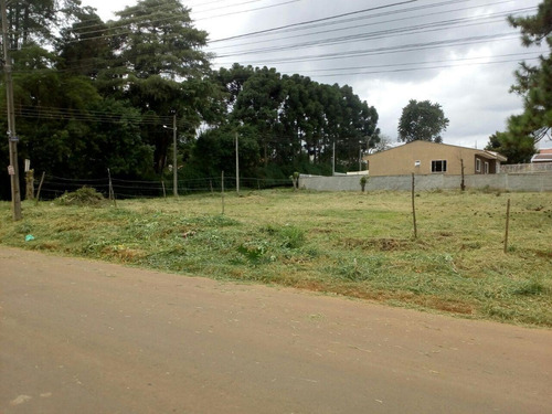 Imagem 1 de 3 de Ótimo Terreno Para Investidores E Construtores - Te0197