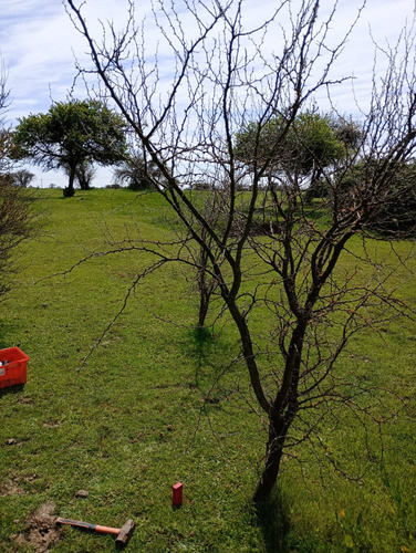 Parcela 8.000 M2 El Canelo , Comuna De Retiro - Region Maule
