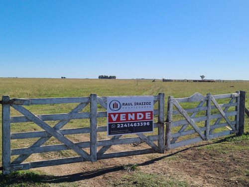 Campo En Venta 63 Has Ganaderas En Casalins Buenos Aires