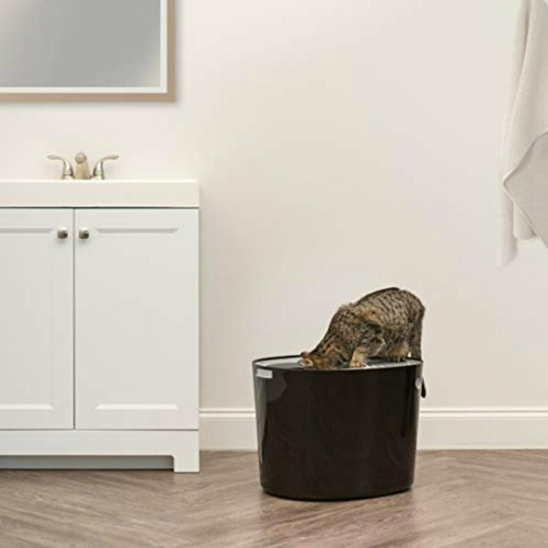 Ris Caja De Arena Para Gatos De Entrada Superior Con