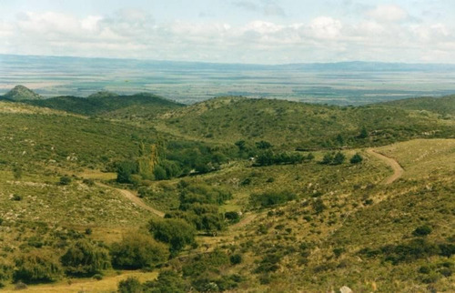 Imagen 12 de 22 de Traslasierra - Estancia Aguas Del Tala - Pueblo Ambul - Pampas Del Pocho - 383has Cercadas A La Venta En Una Zona De Crecimiento Constante - Mina Clavero - Cordoba