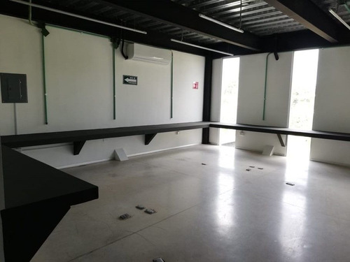 Imagen 15 de 15 de Oficinas En Renta El Faro
