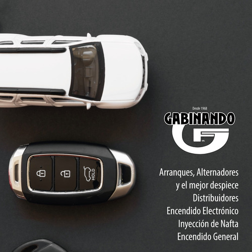 Tapa Portacarbon Para Alternador Argelite R12