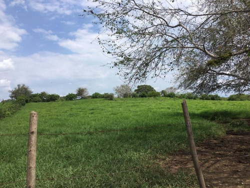 Imagen 26 de 30 de 33 Has Cerca De Altozano El Nuevo Colima