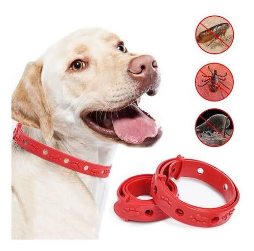 Collar Anti Pulgas Y Garrapatas Para Mascotas Graduable