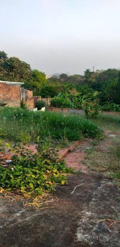 Imagem 3 de 6 de Terreno À Venda, 600 M² Por R$ 195.000,00 - Vila Rodrigues - Londrina/pr - Te0217