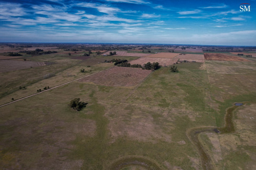 Campo 83ha Carlos Keen