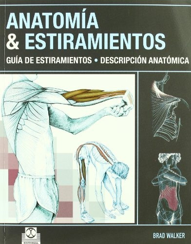 Anatomia & Estiramientos. Guia De Estiramientos - Brad Walke