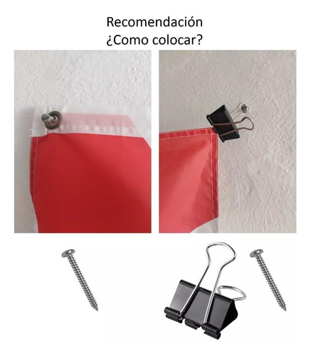 Bandera De La Marcha De La Lealtad Madero