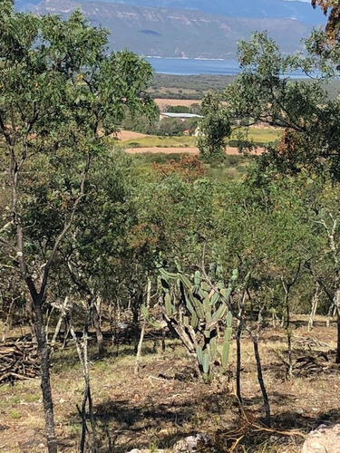 Imagen 5 de 7 de Terreno - Dique Cabra Corral