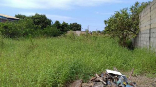 Terreno Lado Praia De 250 Mts Em Itanhaém - 2017 | Npc