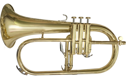 Trompeta Blessing 6419l-1 Sib Color Laqueado Con Acabado Laqueado Incluye Estuche