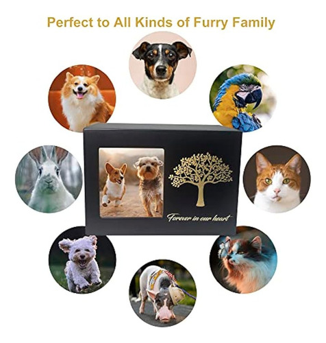 - Urnas Funerárias Para Animais De Estimação, Gatos, Cães,