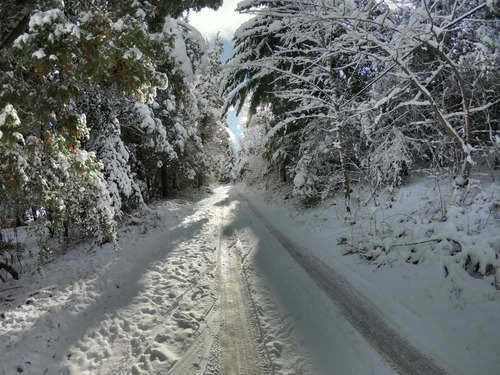 Alquiler Cabaña Para 2 Personas, Bariloche