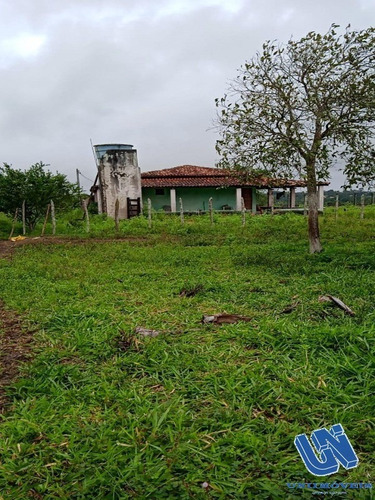 Imagem 3 de 9 de Fazenda Com 92 Tarefas Em São Gonçalo Dos Campos - Bahia - Afd028 - 70496087