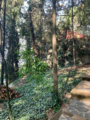 Terreno En Calzada Desierto De Los Leones