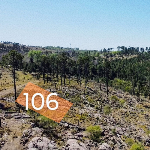 Lote En Venta 1239 M2 En Villa Yacanto De Calamuchita - Córdoba