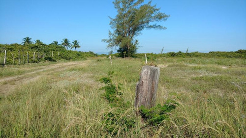 Venta Lotes 400 M² Playa Sur Tamiahua Veracruz