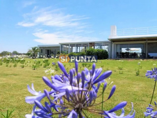 Imagen 11 de 13 de Chacra En José Ignacio