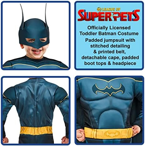 Disfraz De Rubies Dc League Of Super-pets, Batman, 4t