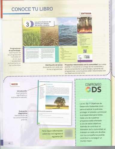 Ecosistema Interacciones, Energía Y Dinamica Trayectorias