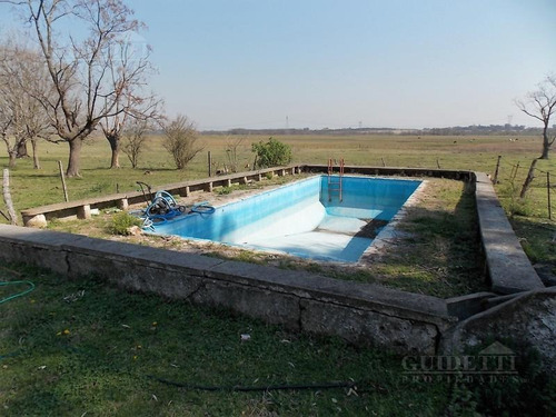 Imagen 5 de 13 de Venta De Campo De 28,6 Has Ubicado Entre Campana Y Capilla Del Señor