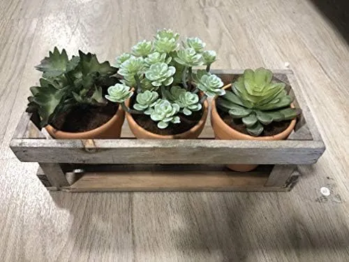 Tabla De Cocina Maniacs Mini Plantas Suculentas Artificiales