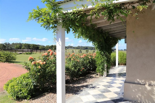 Chacra De 9 Hectareas Con Vista Al Mar!!- Ref: 2267
