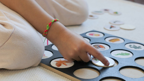 Puzzle Tablero Ciclo De Vida